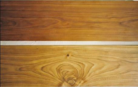 jati atau teak 2 small